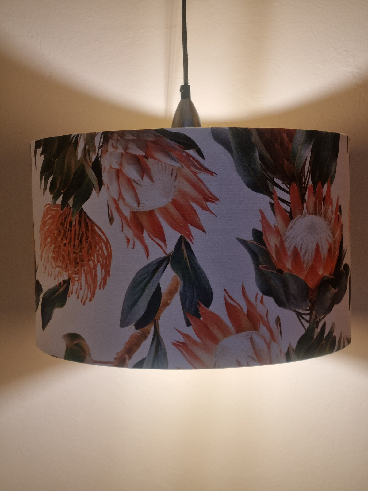 Protea Glow